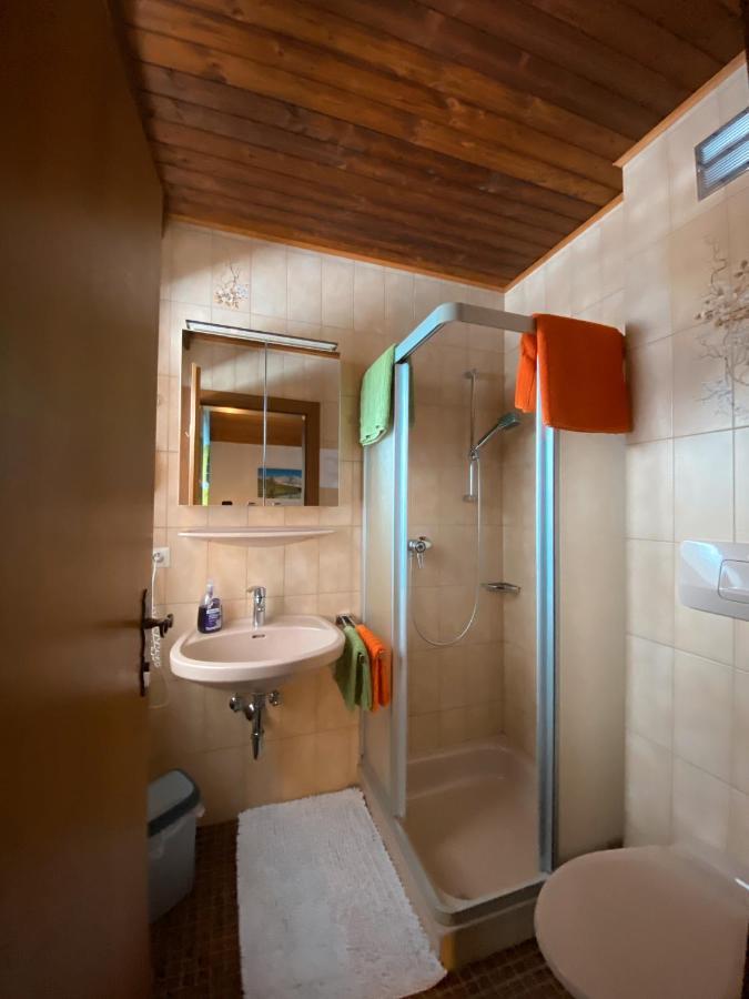 Haus Ratgeb Apartment Filzmoos Luaran gambar